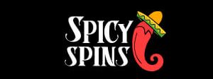 spicyspins logo